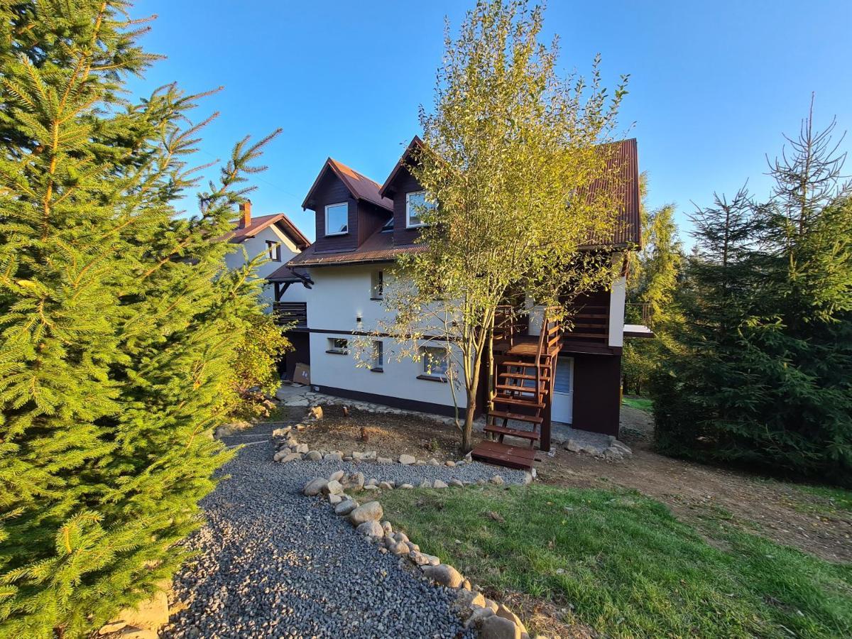 Apartamenty Willa Naskarpie Jacuzzi Sauna Basen Wisła Exterior foto