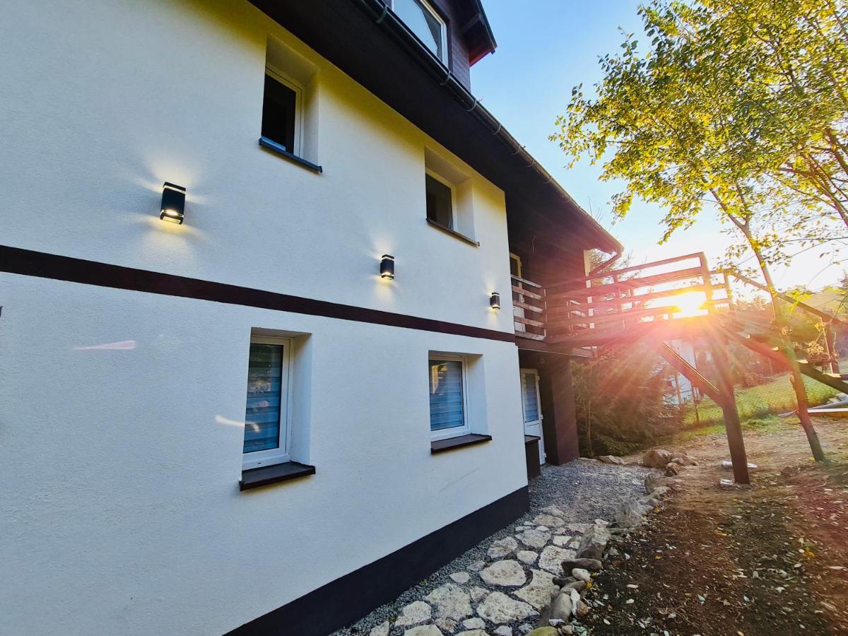 Apartamenty Willa Naskarpie Jacuzzi Sauna Basen Wisła Exterior foto